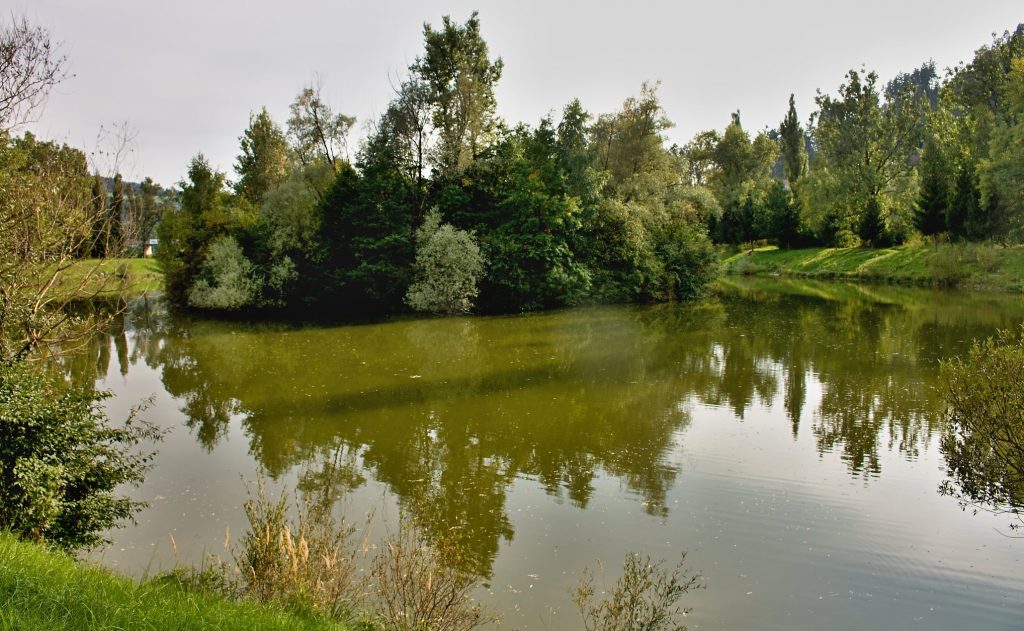 Rybník Brodno
