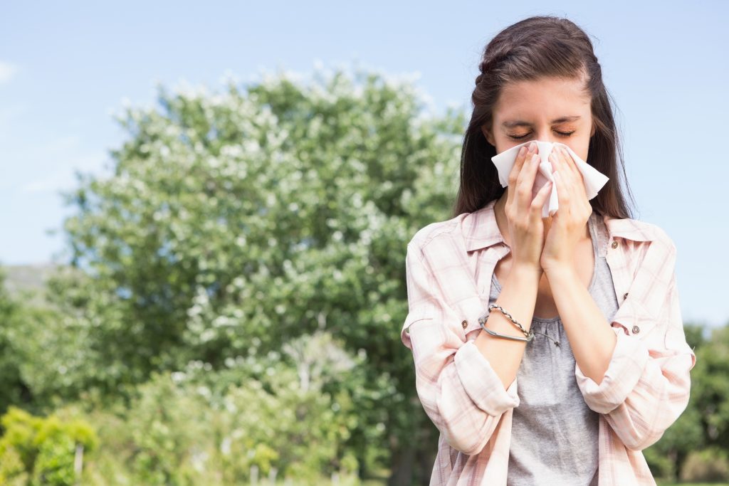 Alergici pozor: Ohrozujú vás ambrózia, palina, chmeľ a spóry húb