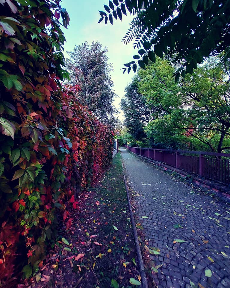 Nitra: Krásna jeseň na Palánku