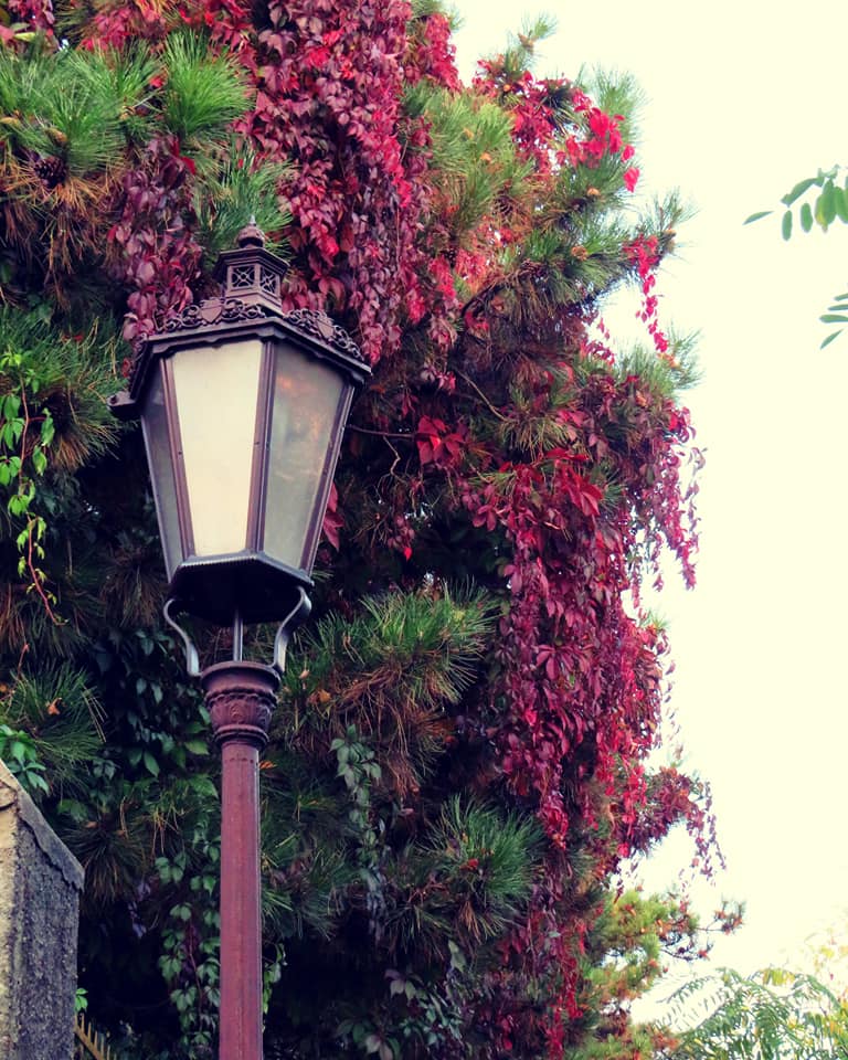 Nitra: Krásna jeseň na Palánku
