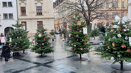 Bratislava: Poteší vás Vianočný les