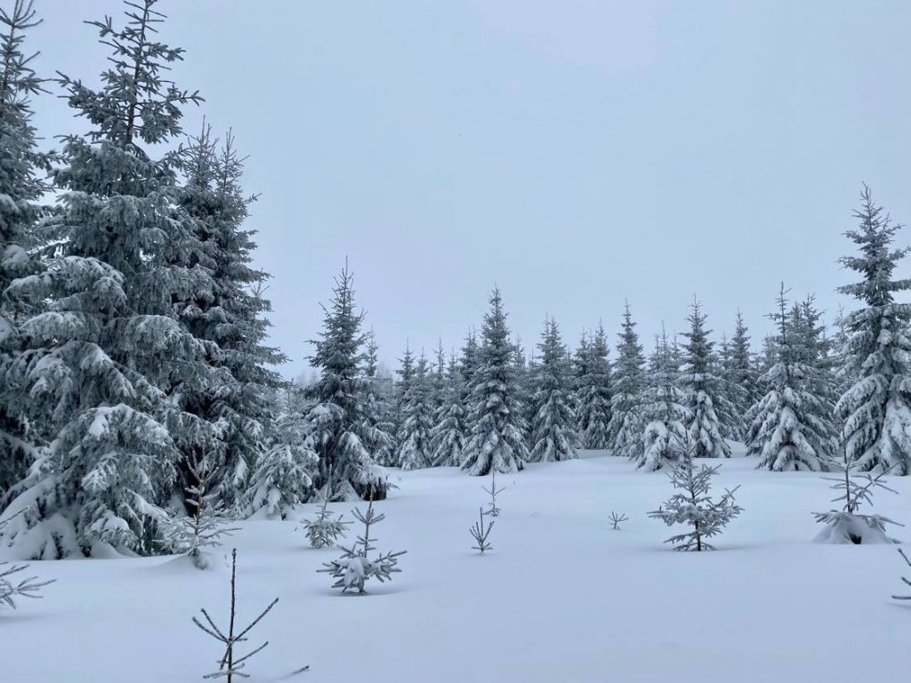 Smrekovica: Sneh, sneh a kopec snehu