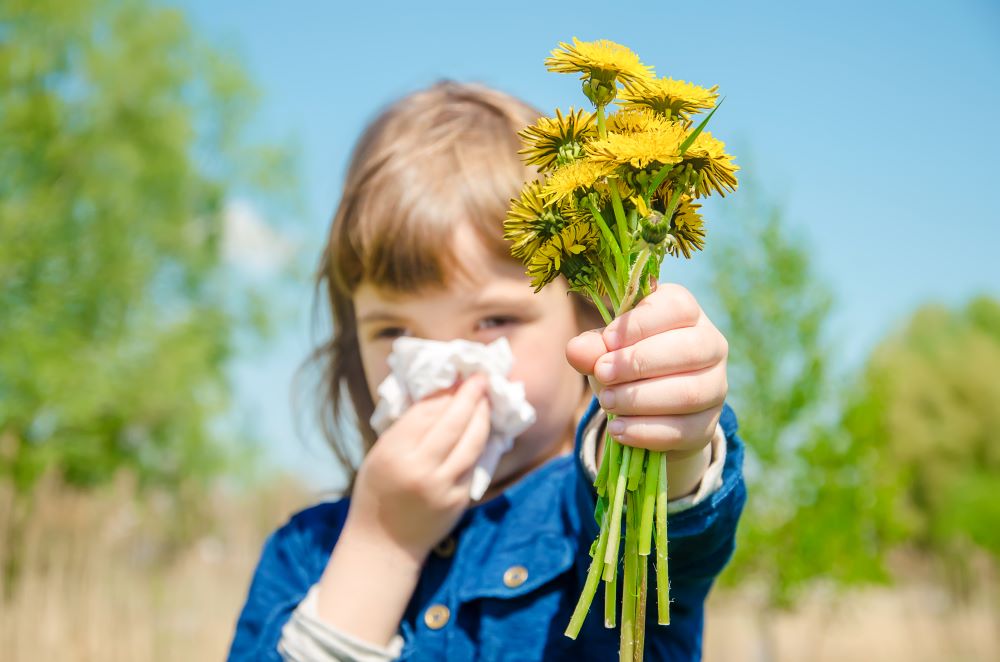 Alergici pozor: Sledujete peľové spravodajstvo?