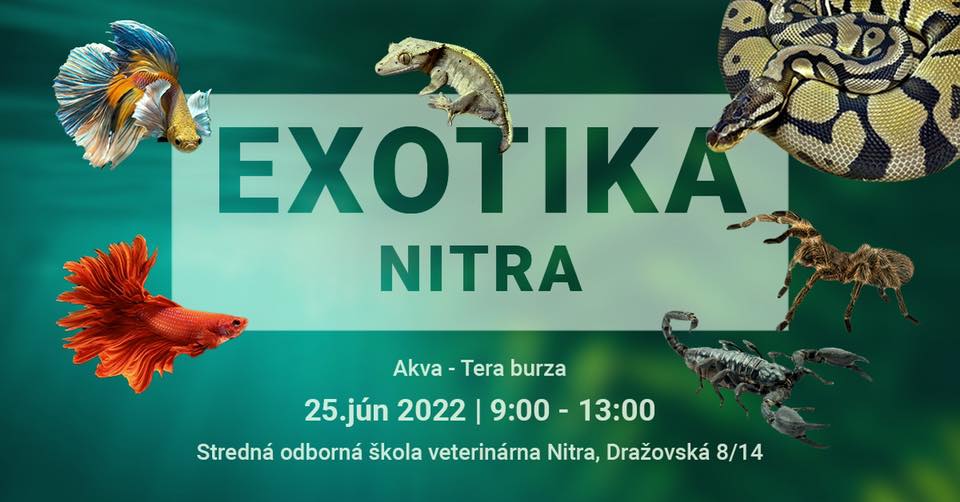 Mário Hojčuš: Do Nitry sa po rokoch vracia najväčšia burza EXOTICKÝCH zvierat