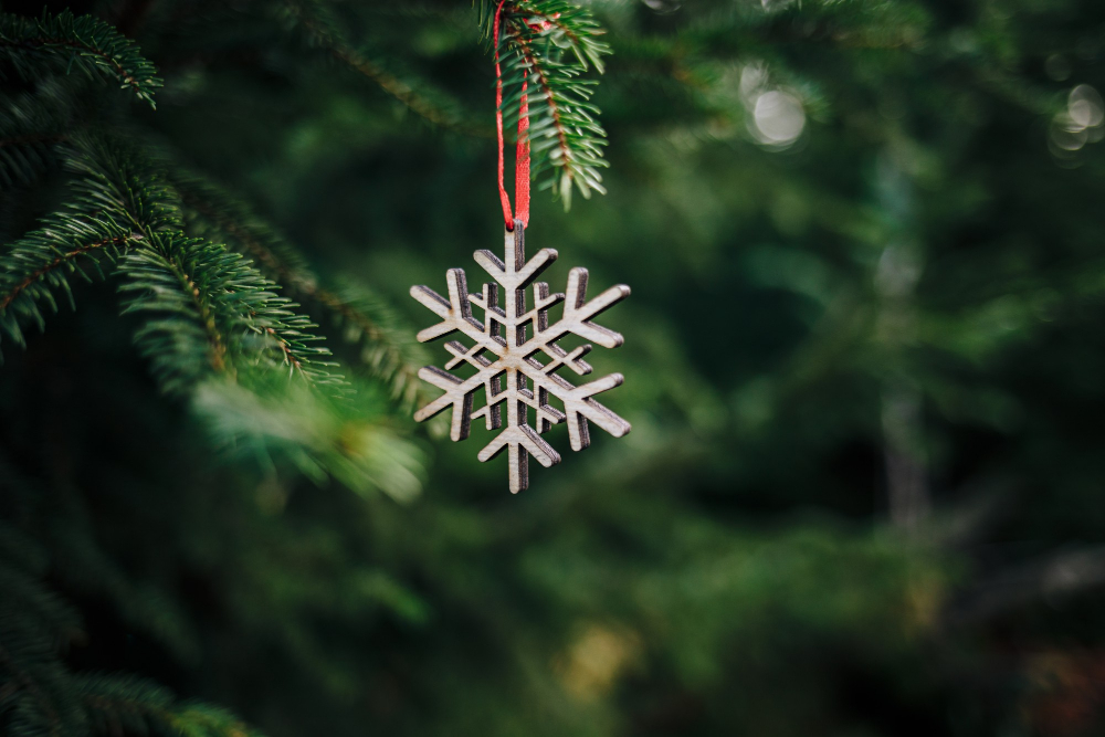 Nitra: Ako sa zbaviť vianočného stromčeka?